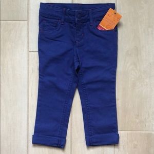 Sonoma Toddler Colored Jeans